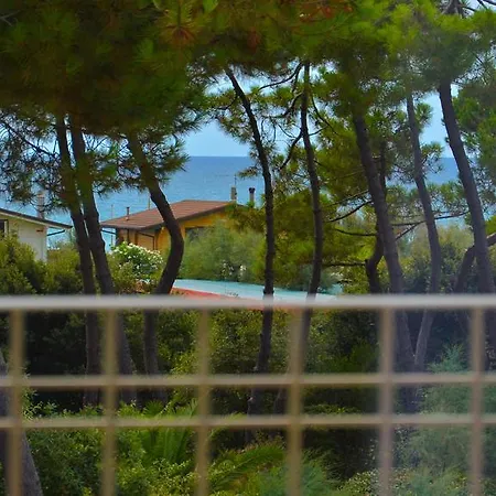 Hotel Elsa Marina di Massa